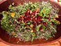 Arugula Salad with Avocados, Pomegranate Seeds and Croutons