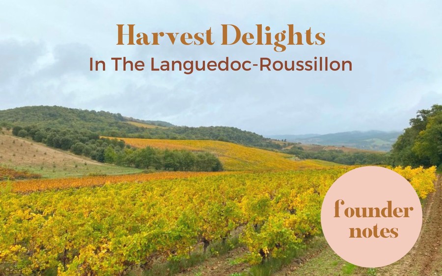 Harvest Delights - In the Languedoc Roussillon