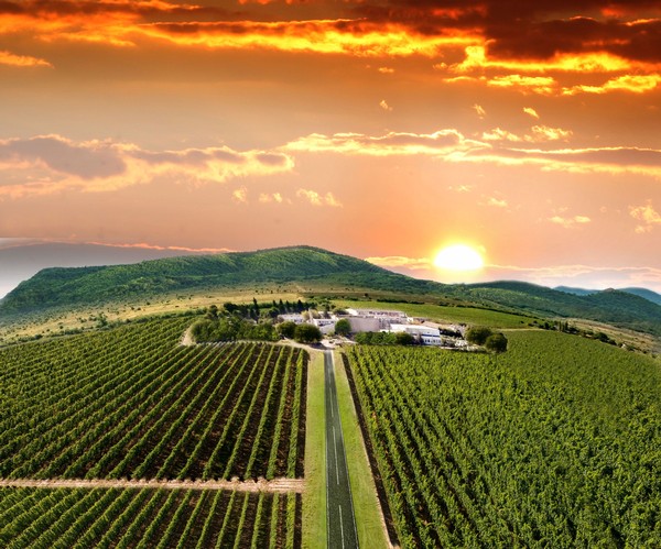 Romanian Wine Rendezvous
