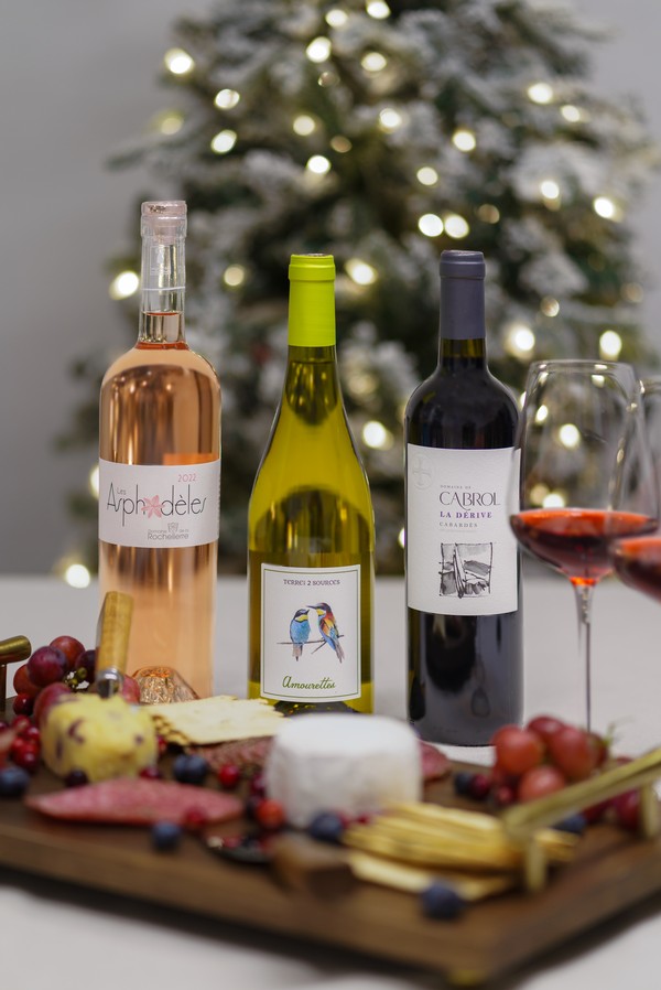 Wine Student Bundle