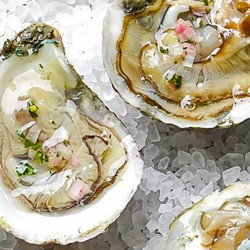 Oysters