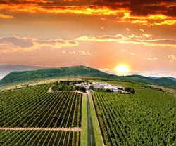 Romanian Wine Rendezvous