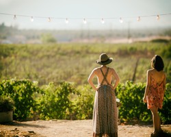 Root-To-Sip: Women in Wine