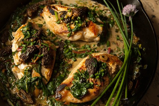 Jura Style Chicken with Morel Mushroom Cream Sauce